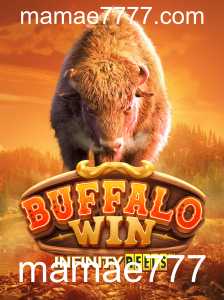 BuffaloWin: Descubra o Excitante Mundo do Jogo e suas Regras